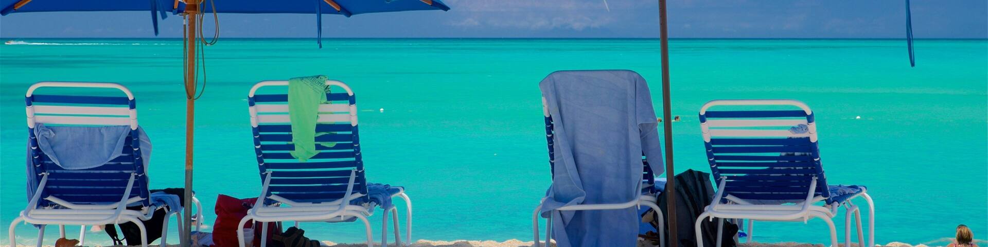 Valley Church Beach showing general coastal views, tropical scenes and a beach