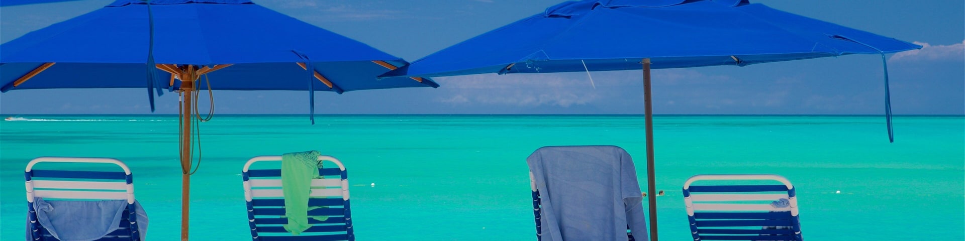 Valley Church Beach ofreciendo escenas tropicales, una playa de arena y vistas de una costa