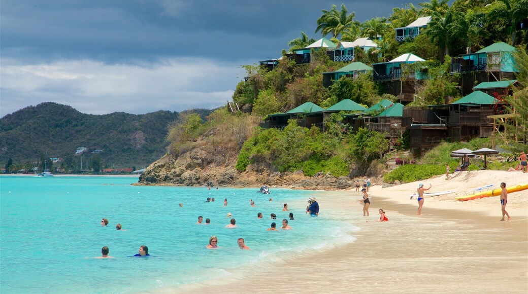 Valley Church Beach featuring general coastal views, tropical scenes and swimming