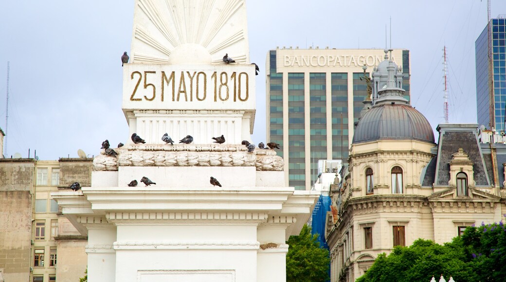 Plaza de Mayo mostrando señalización, una ciudad y un monumento
