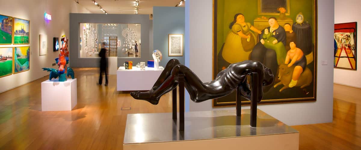 Musée de l\'Art latino-américain de Buenos Aires mettant en vedette art et vues intérieures