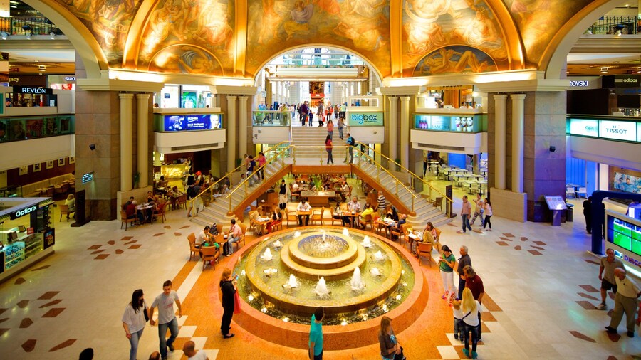 Calle Florida montrant scÚnes intérieures et une fontaine aussi bien que un grand groupe de personnes