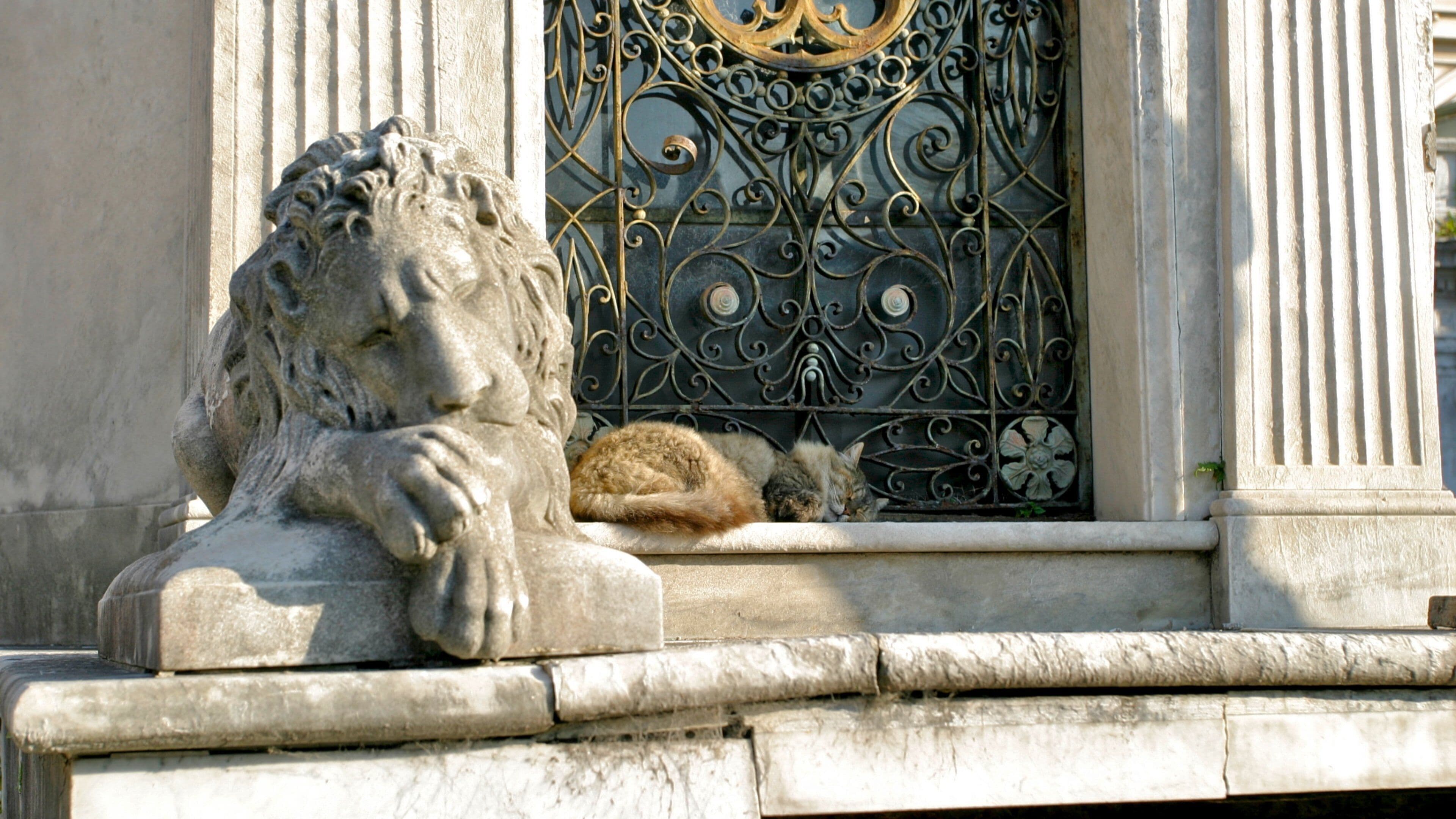 Cimetière de Recoleta qui includes cimetière et monument