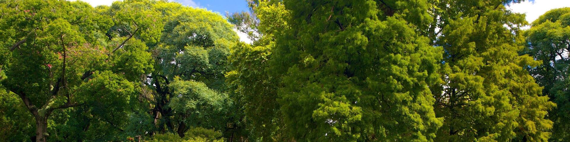 Japanese Garden featuring a garden and a pond