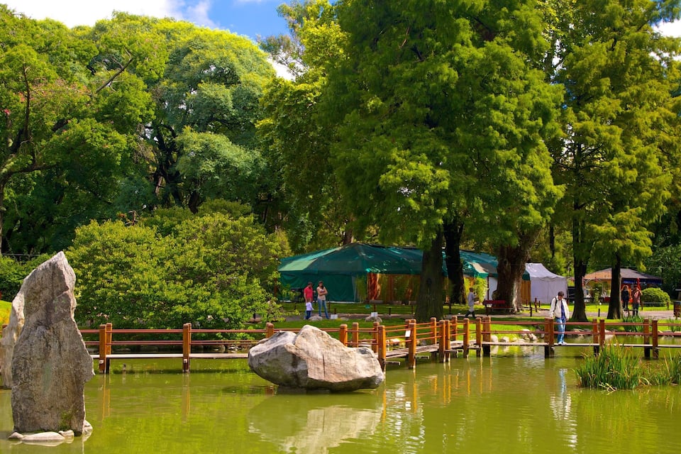 A park with a pond, large rocks, a wooden bridge, and a green tent.