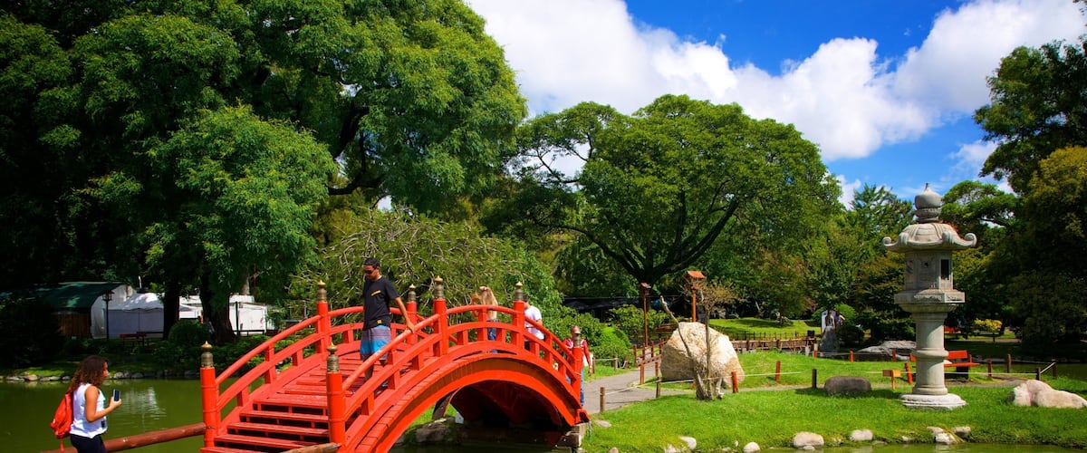 Jardín Japonés mostrando un jardín y un estanque