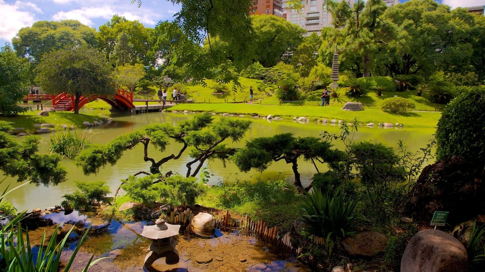 Japanese Garden featuring a park and a pond
