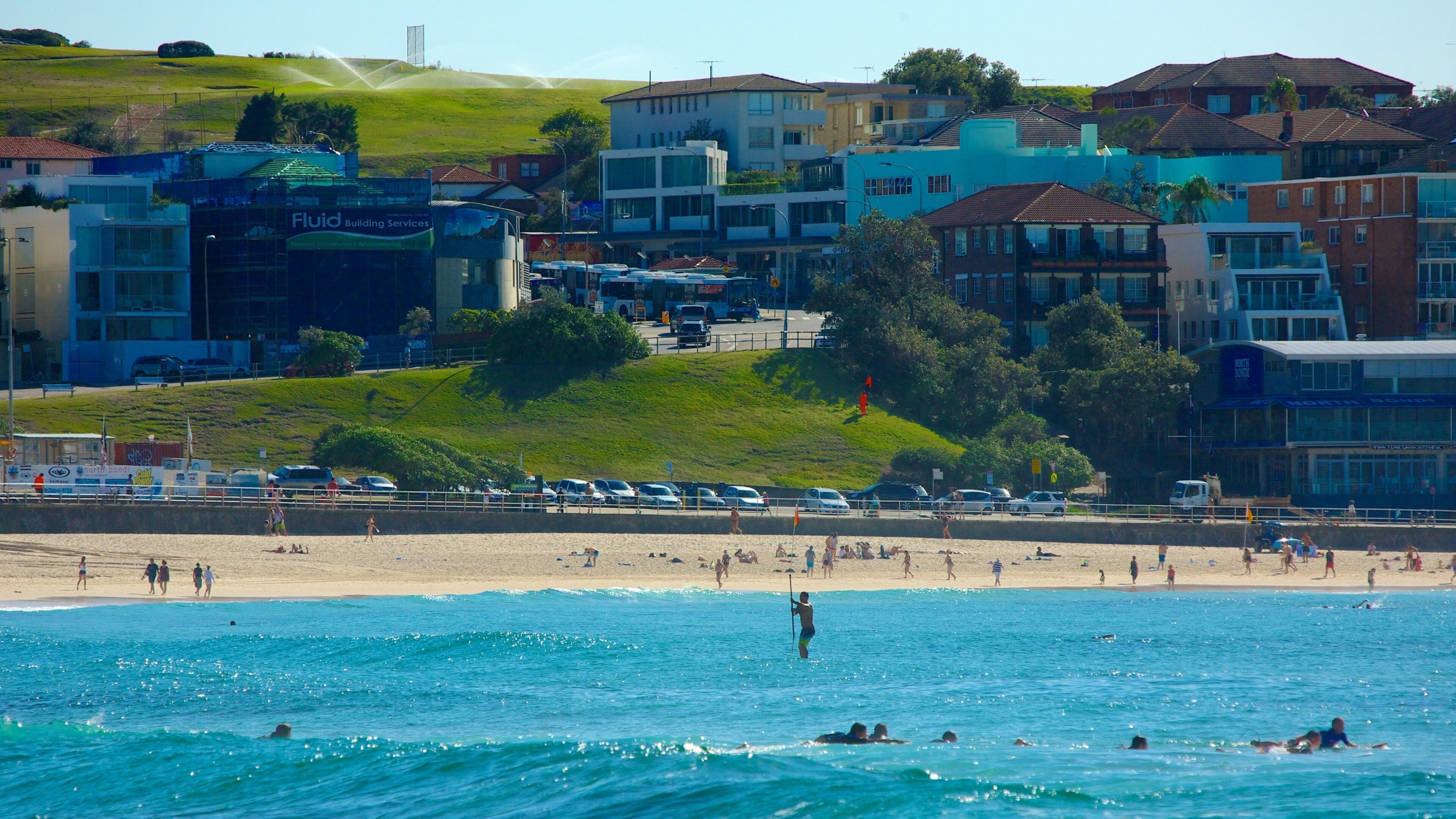 Bondi Beach ofreciendo surf, una ciudad costera y una playa