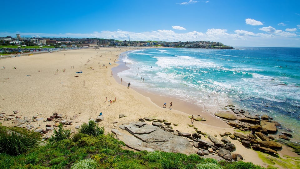 Bondi Beach que incluye una playa, vistas de paisajes y escenas tropicales