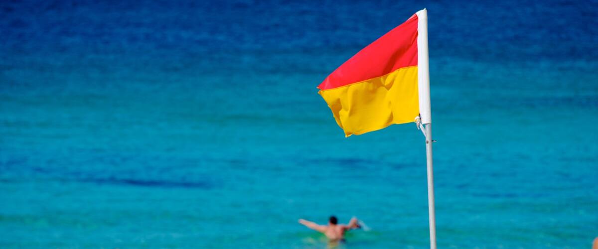 Bondi Beach featuring general coastal views and swimming