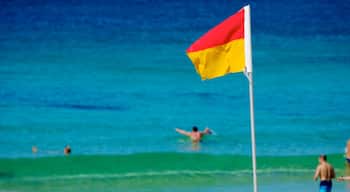 Bondi Beach inclusief zwemmen en algemene kustgezichten