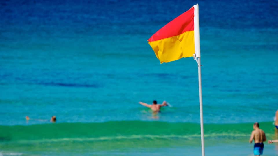 Bondi Beach que incluye vistas generales de la costa y natación