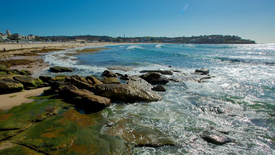 Bondi Beach ofreciendo costa rocosa y una ciudad costera