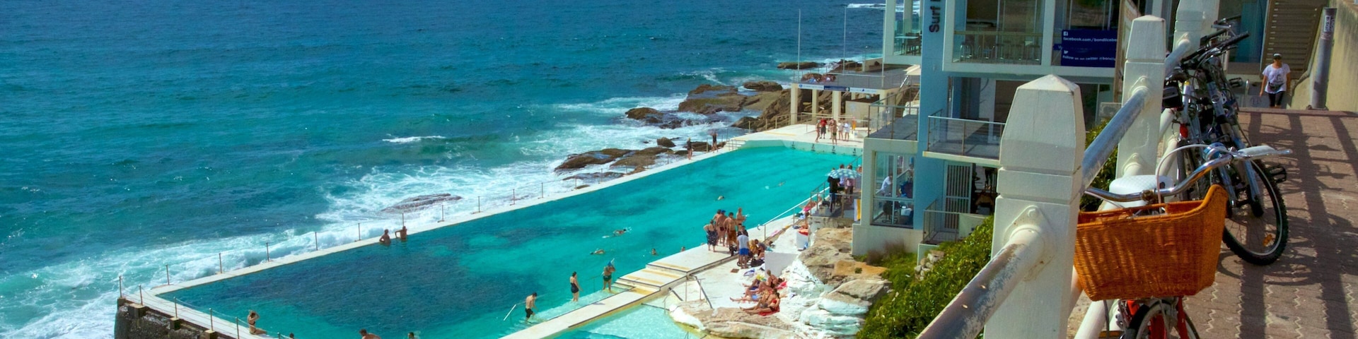 Bondi Beach showing swimming, general coastal views and a pool