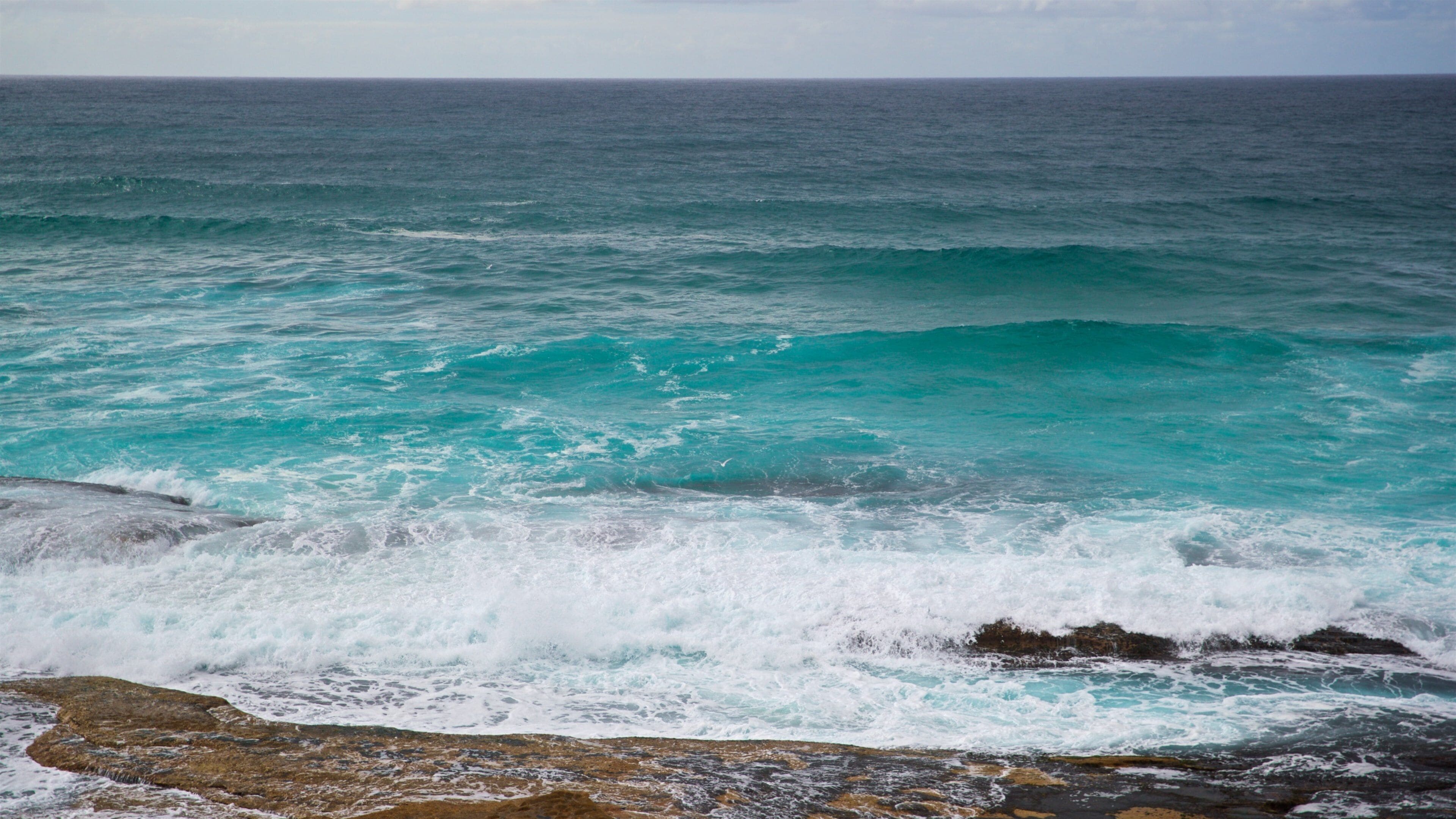 Tamarama Beach featuring general coastal views