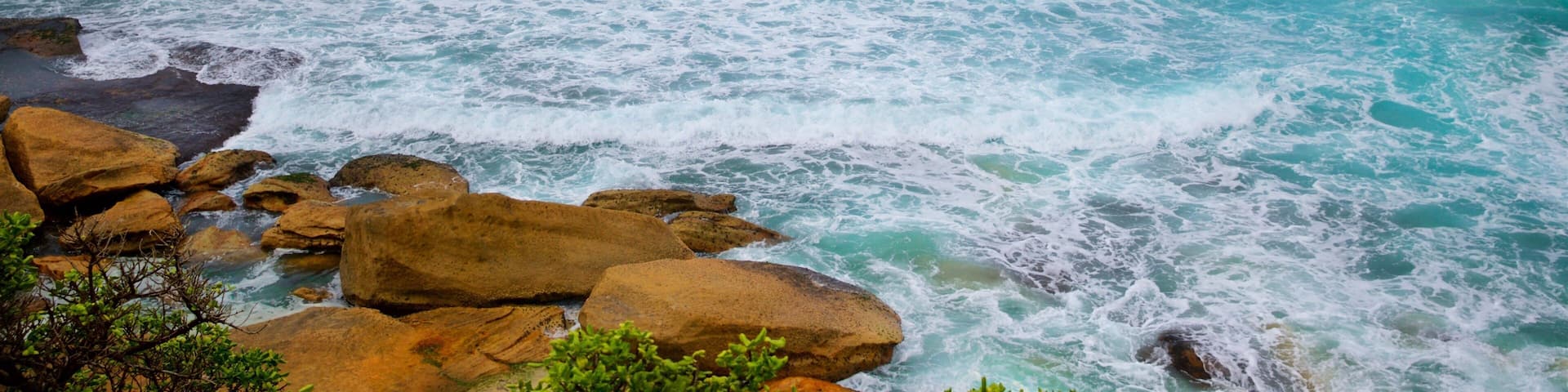 Tamarama Beach welches beinhaltet Wellen, schroffe Küste und allgemeine Küstenansicht
