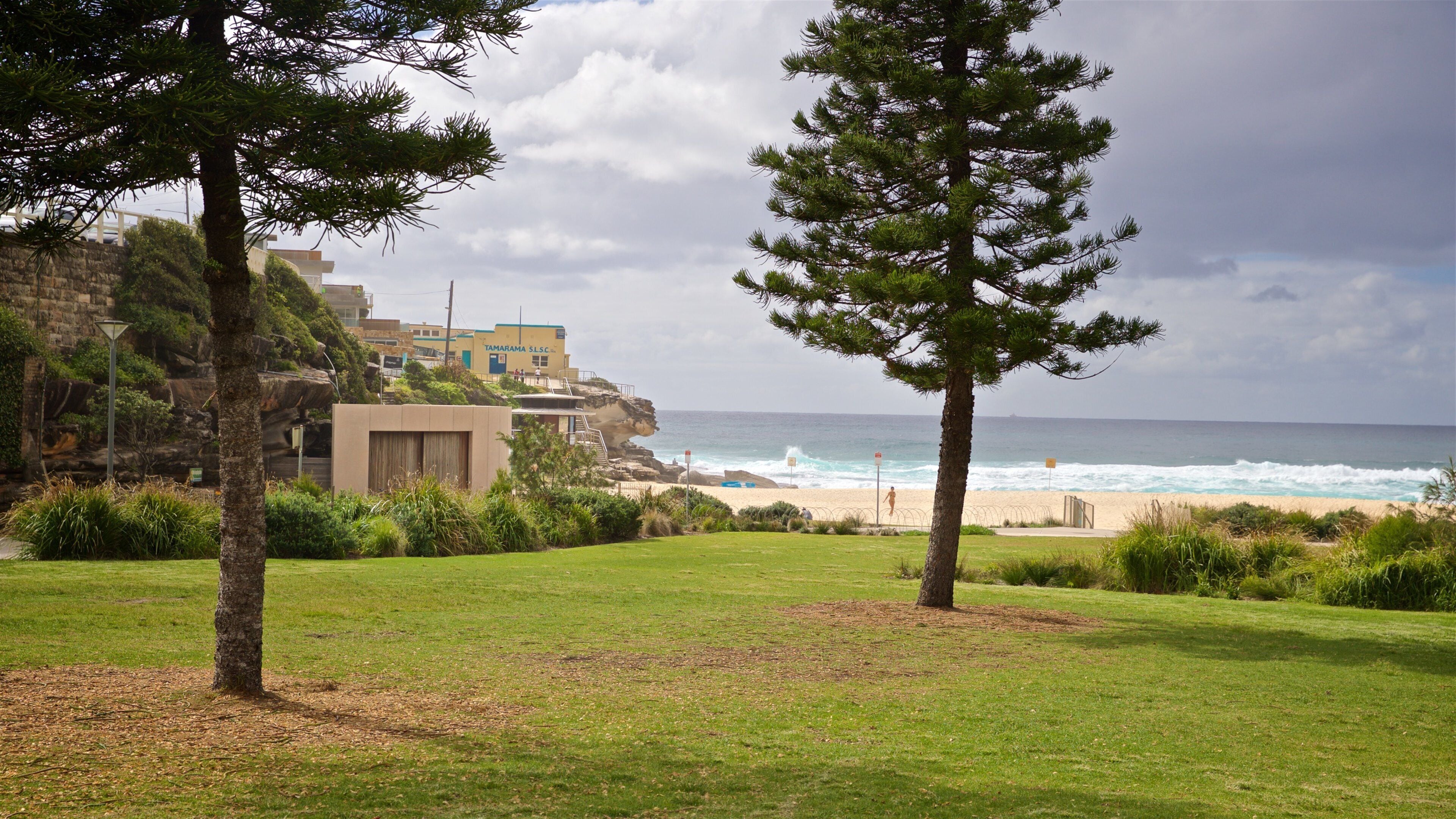 Tamarama Beach som inkluderar kustutsikter och en park