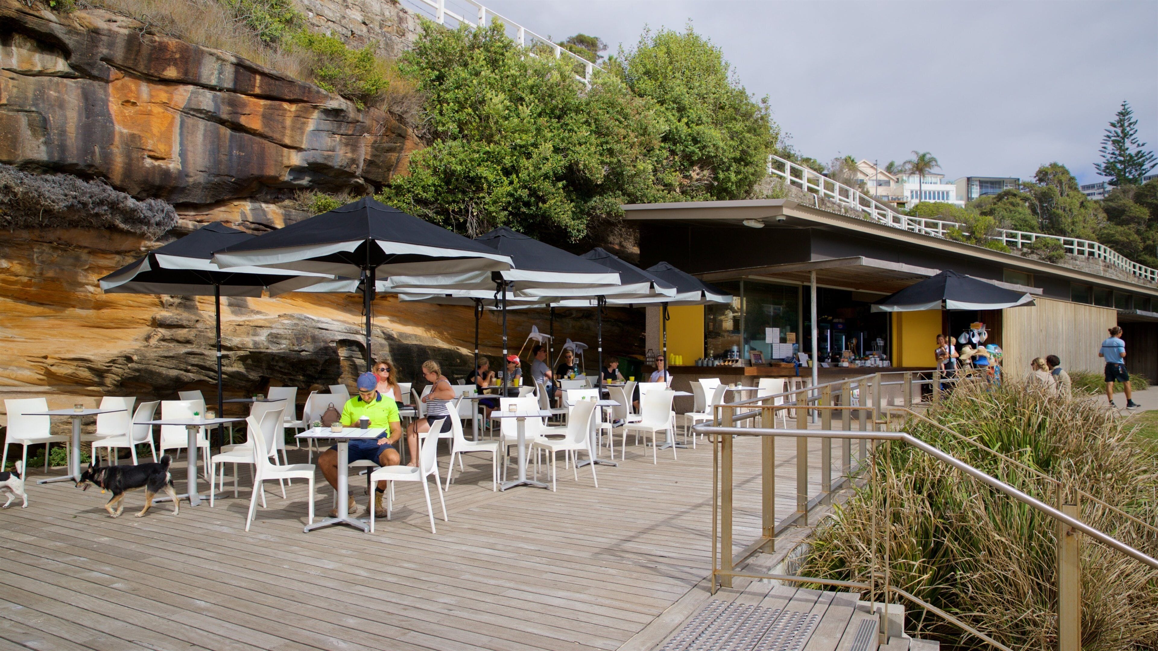 Playa de Tamarama que incluye comidas al aire libre y también un grupo pequeño de personas