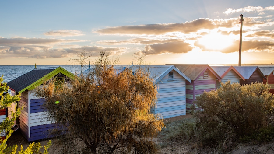 Brighton Beach which includes general coastal views and a sunset