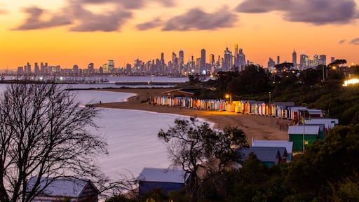 Brighton Beach featuring a city, a sunset and a beach