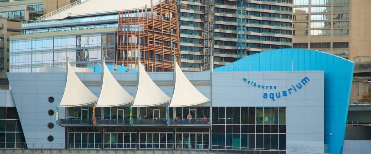 Melbourne Aquarium showing a city, signage and marine life
