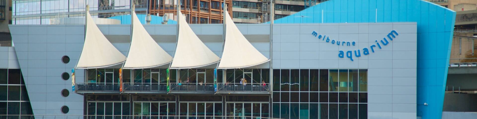 The Melbourne Aquarium building with a blue and white facade, large windows, and sail-like structures.