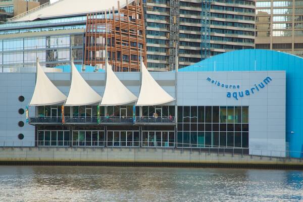 メルボルン水族館 表示 都市, 現代建築 と 海洋生物