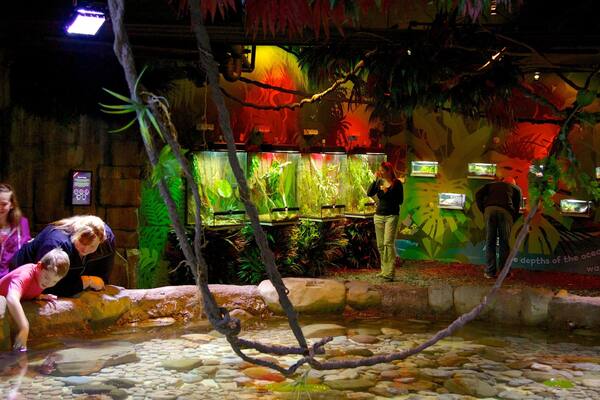 Melbourne Aquarium featuring interior views and marine life