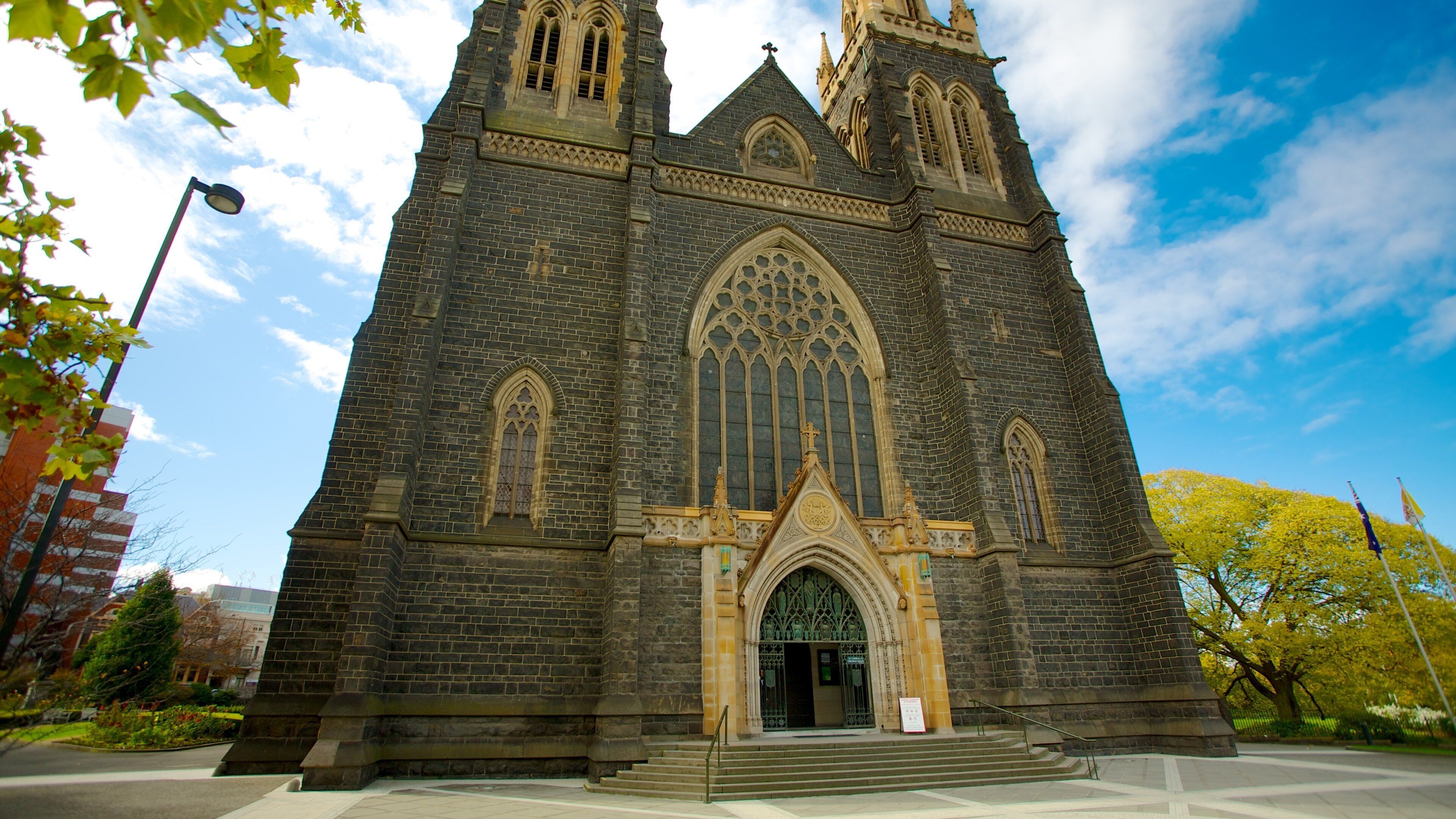 Cathédrale Saint-Patrick mettant en vedette ville, patrimoine architectural et aspects religieux