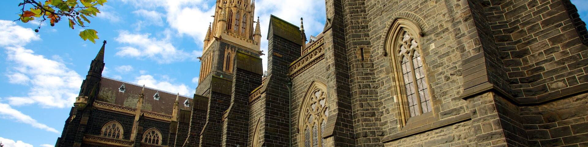 St Patrick\'s Cathedral ofreciendo una iglesia o catedral y elementos religiosos