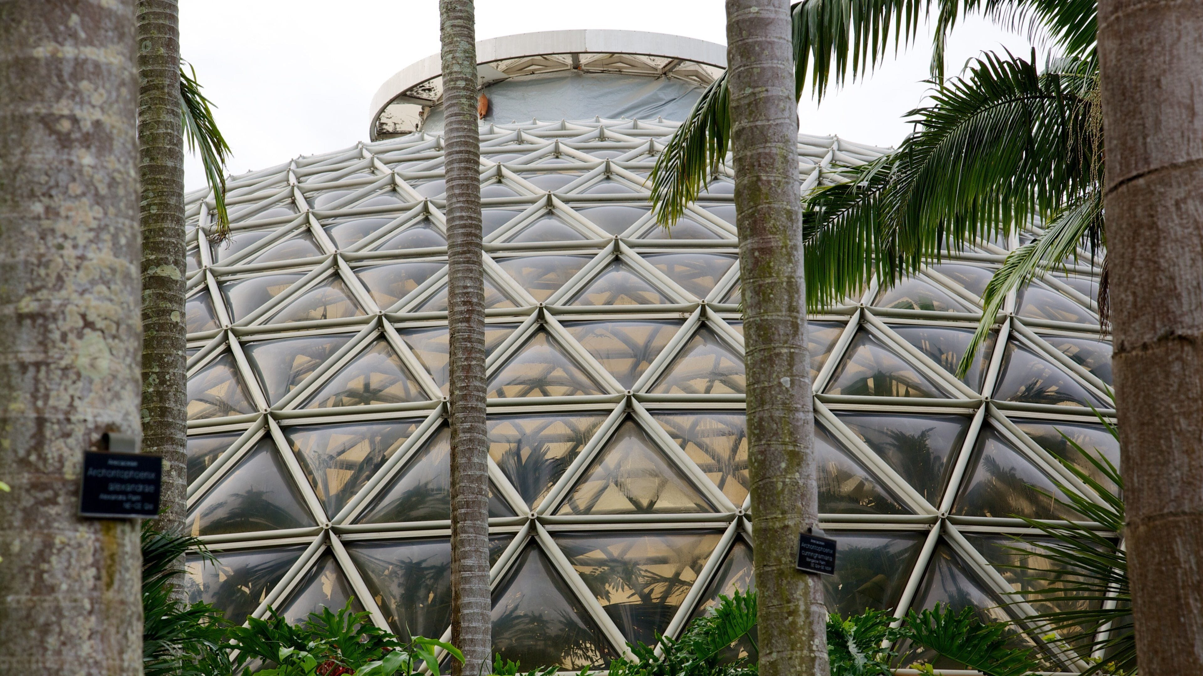 Brisbane Botanic Gardens mostrando un parque