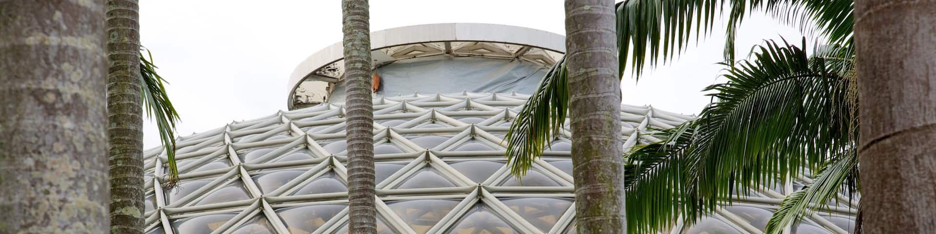 Brisbane Botanic Gardens featuring a park