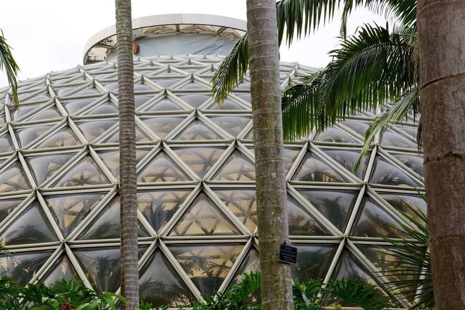 A large geodesic dome structure surrounded by palm trees.