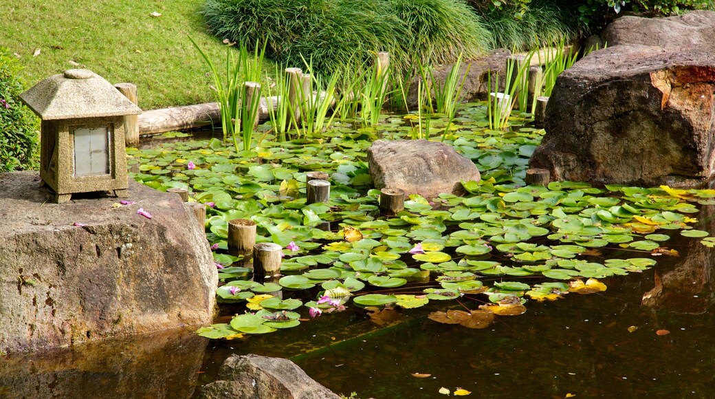 Brisbane Botanic Gardens which includes a garden and a pond