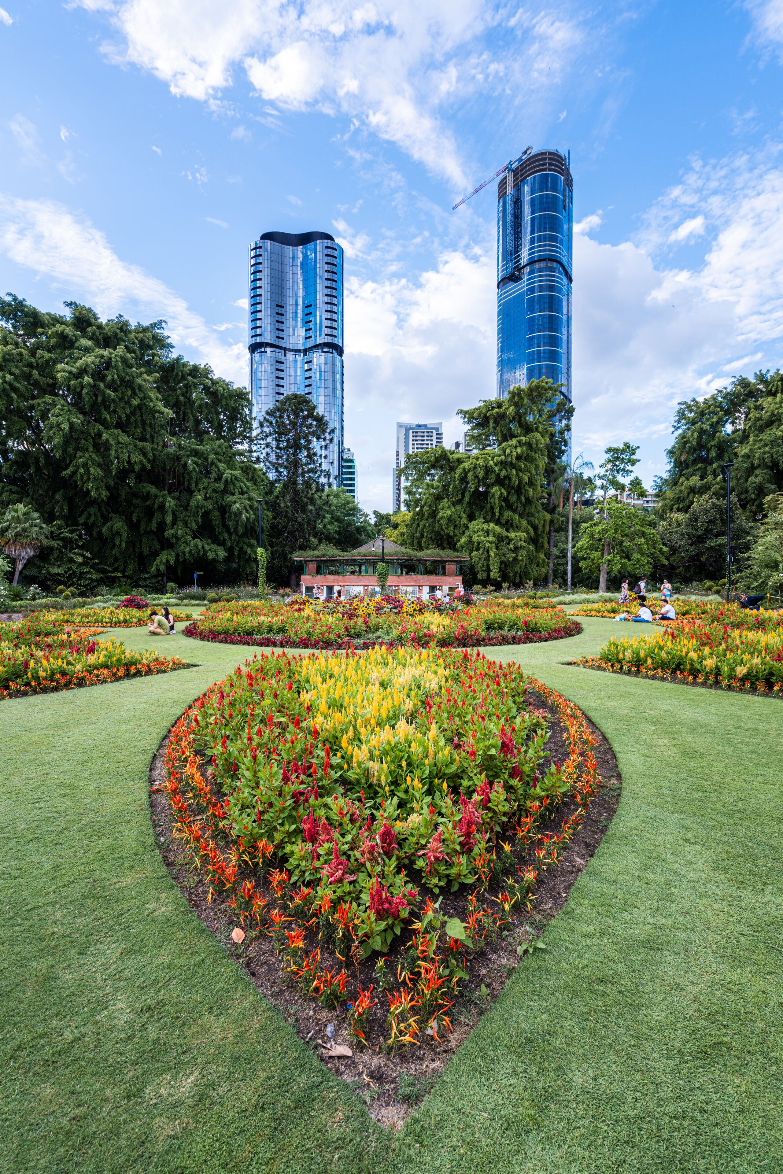 Colourful flower garden in the Brisbane City Botanic Gardens with skyscrapers in the background
