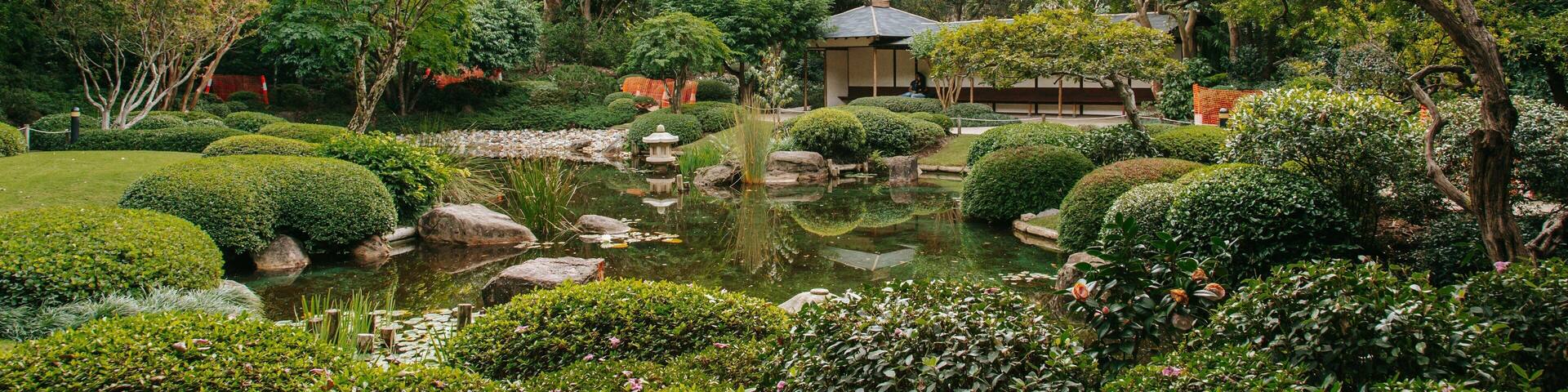 Brisbane Botanic Gardens featuring forest scenes, a park and a pond