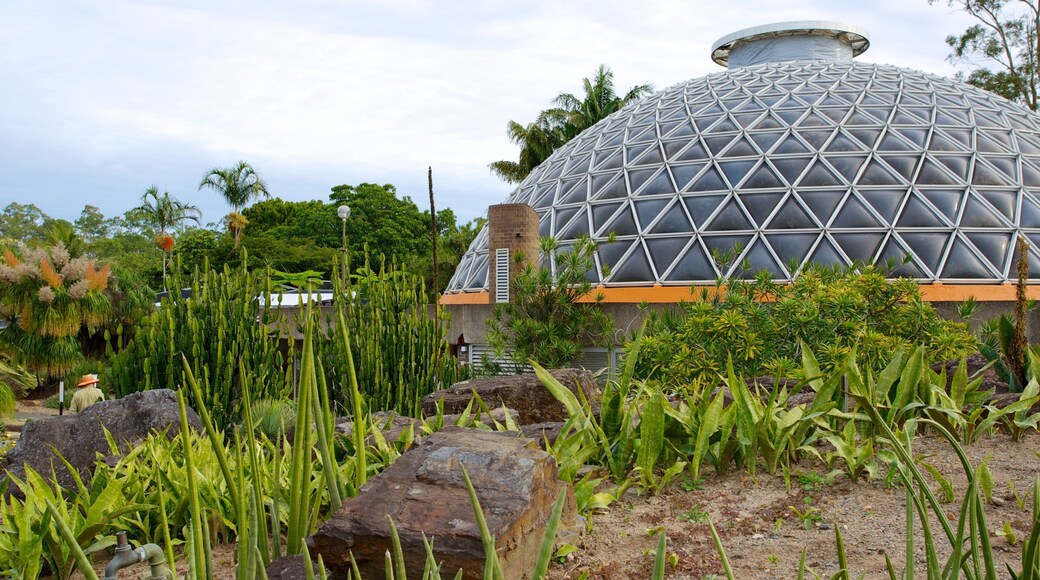 Brisbane Botanic Gardens which includes a park