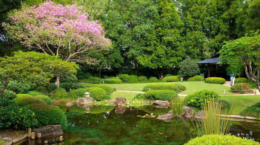 Brisbane Botanic Gardens featuring a pond and a garden