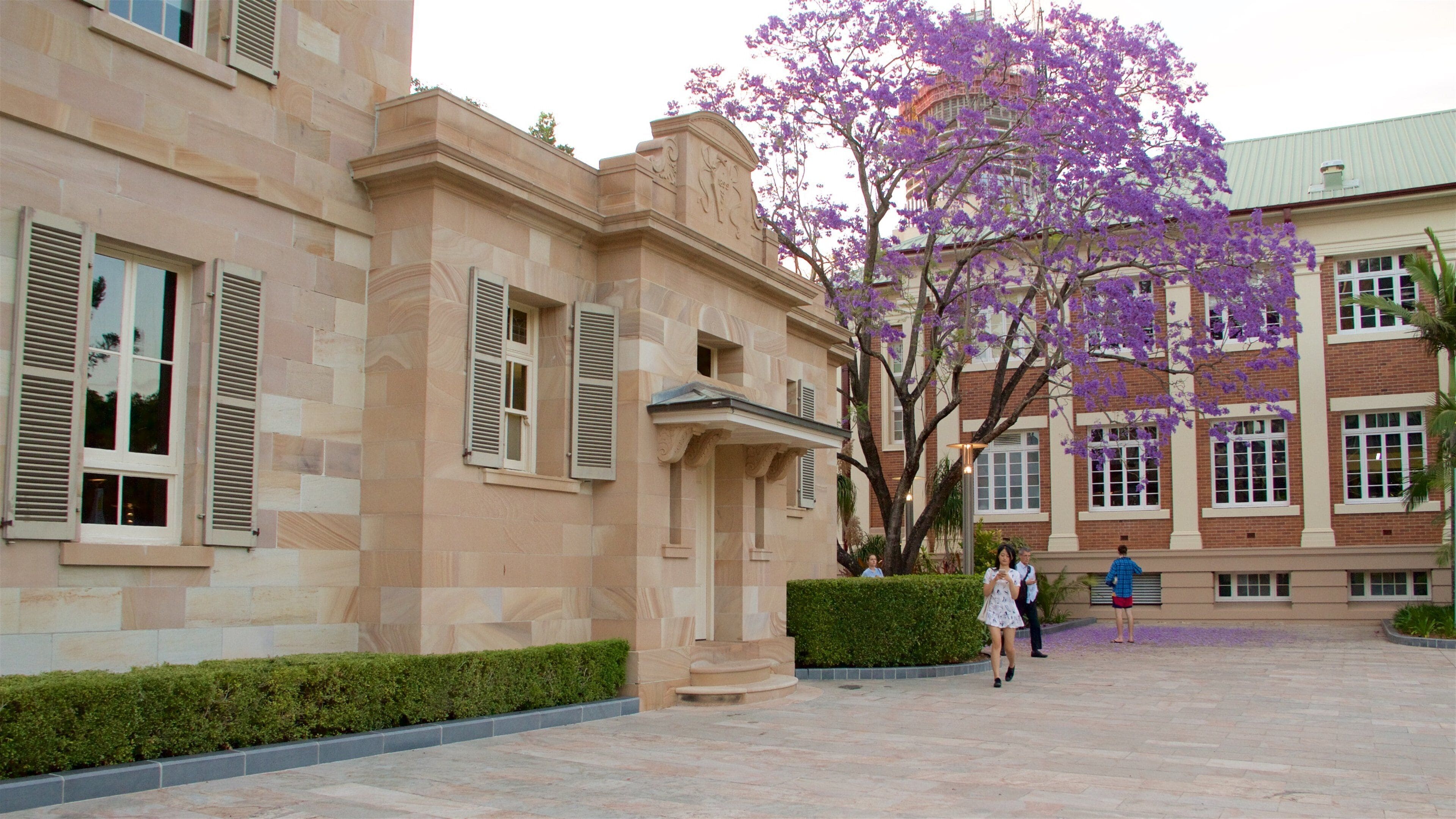 Queensland University of Technology som viser villblomster og torg eller plass