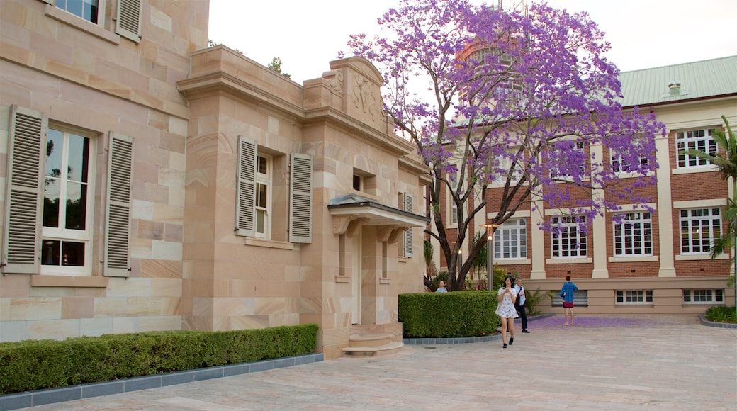 Université de technologie du Queensland mettant en vedette square ou place et fleurs sauvages