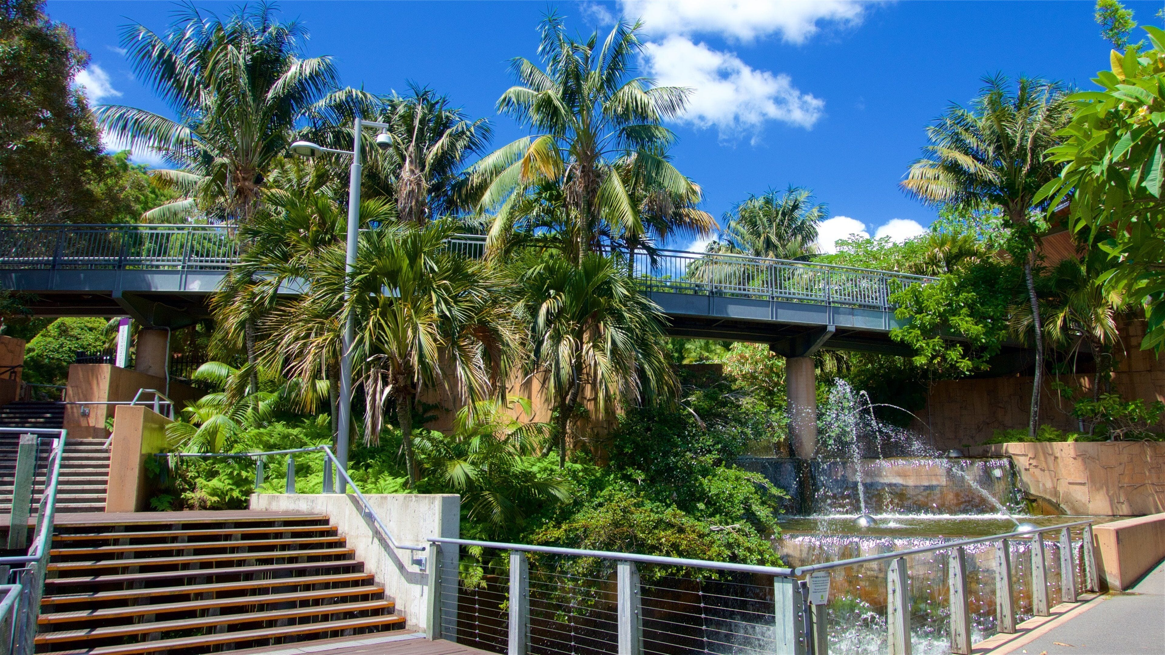 Roma Street Parkland showing a park and a fountain