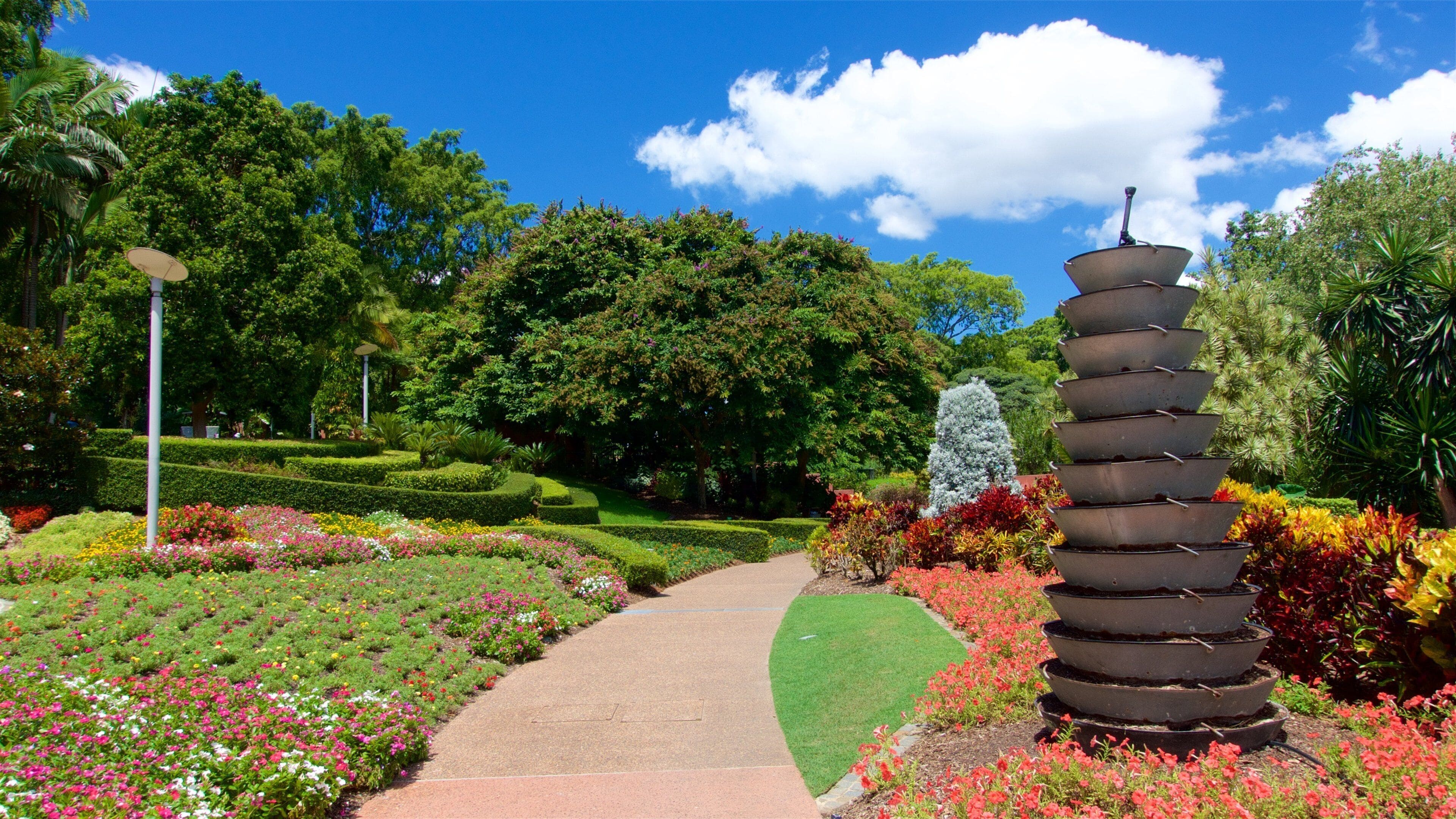 Roma Street Parkland que incluye un parque, arte al aire libre y flores silvestres