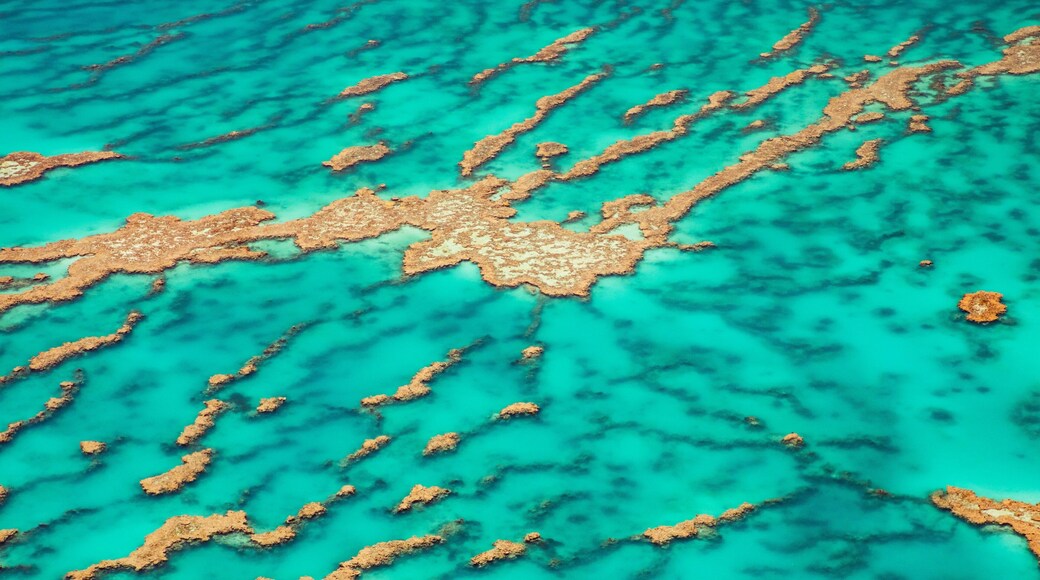 Great Barrier Reef featuring general coastal views and coral