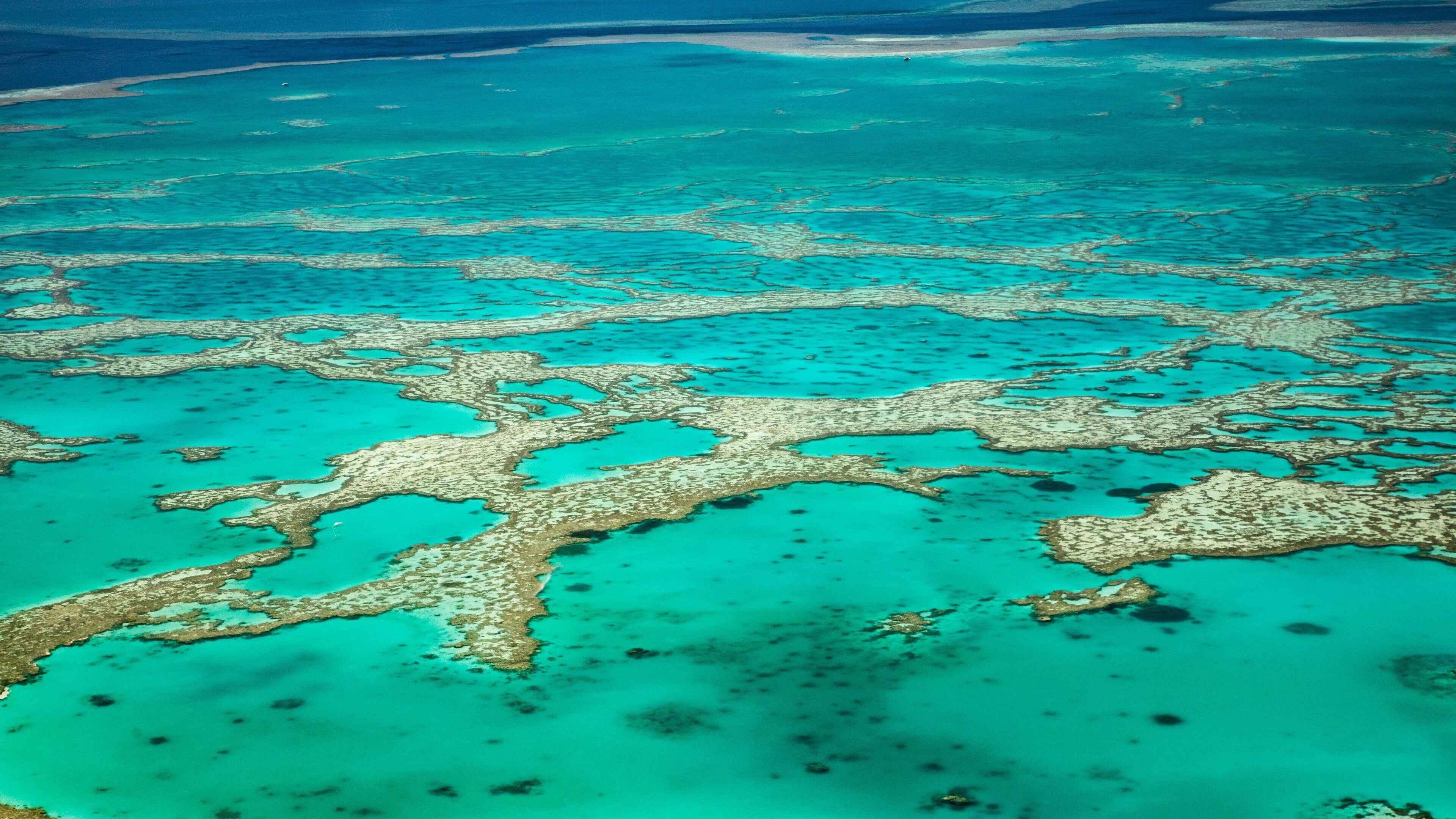 Great Barrier Reef showing general coastal views and coral