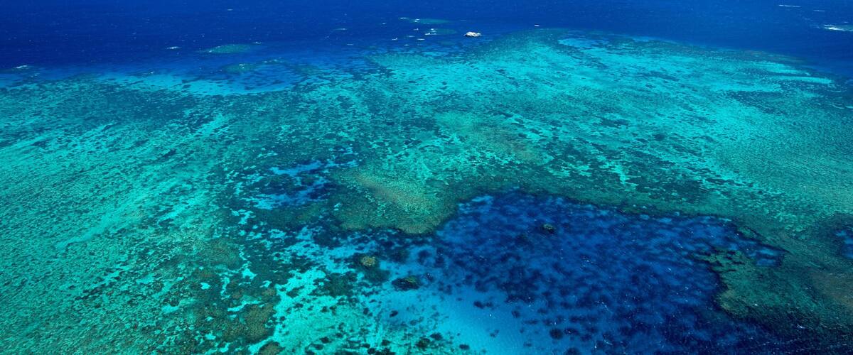 Great Barrier Reef which includes landscape views and coral