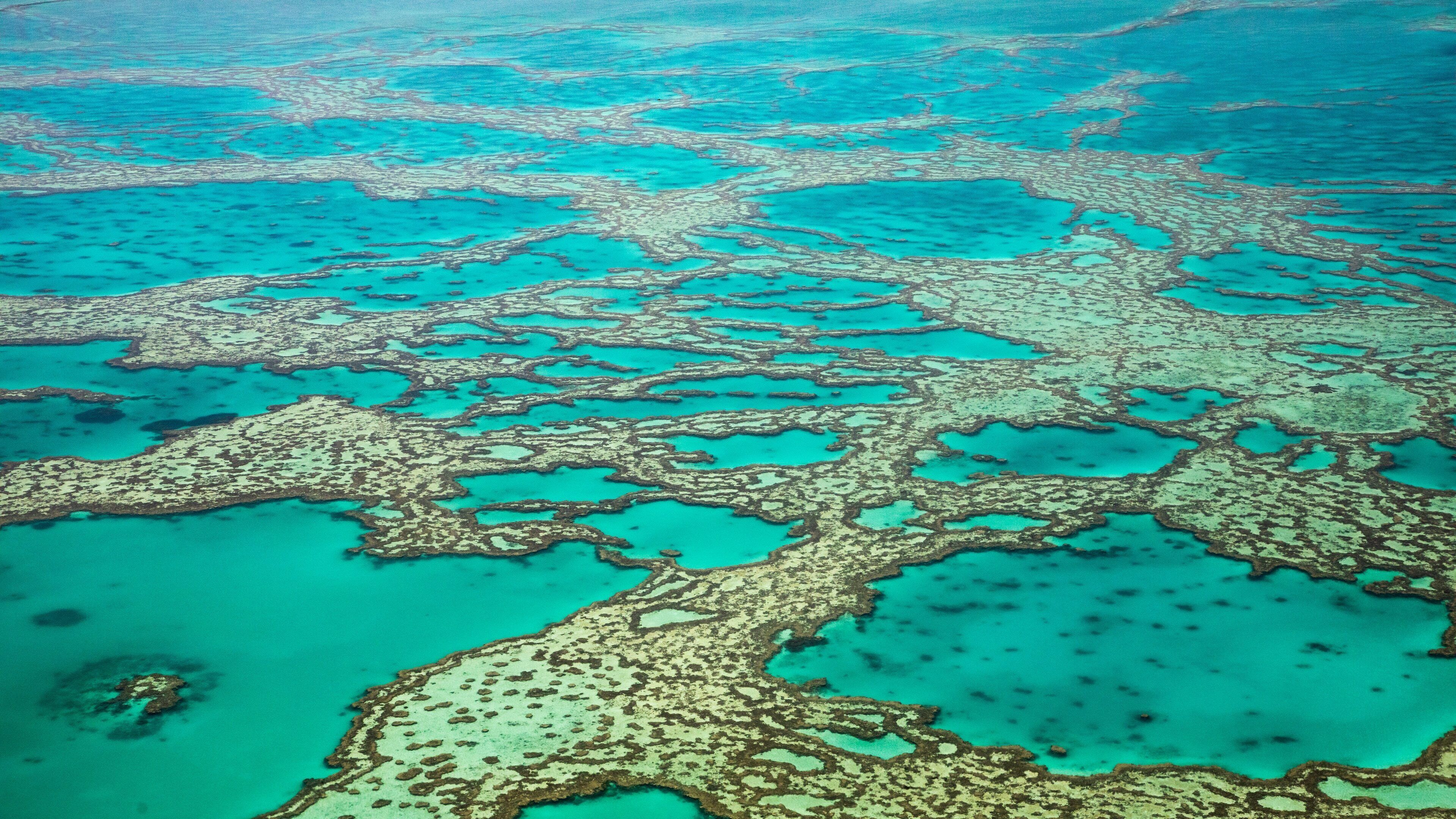 Great Barrier Reef which includes general coastal views and colorful reefs