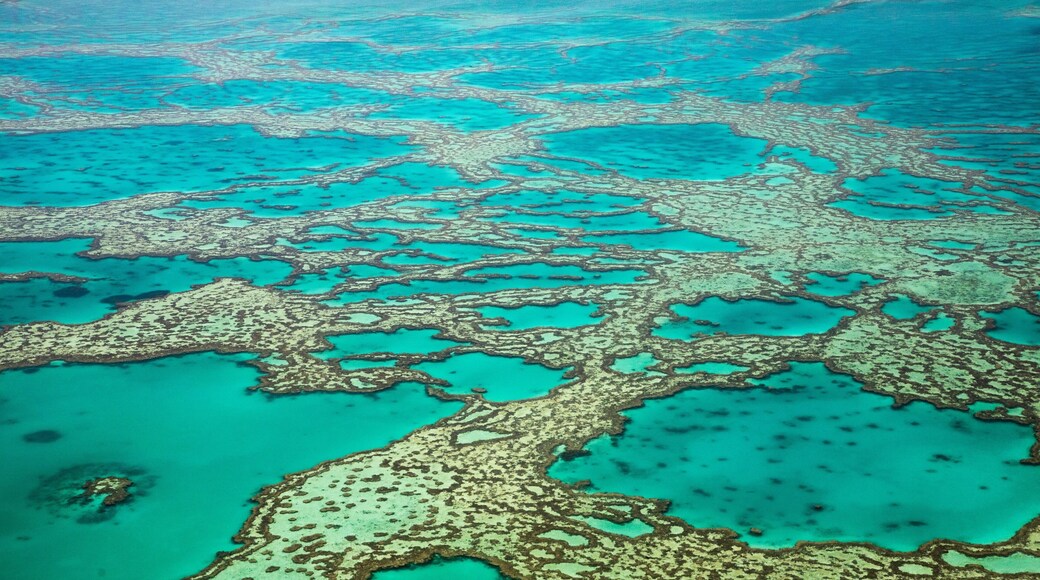 Great Barrier Reef which includes general coastal views and colorful reefs