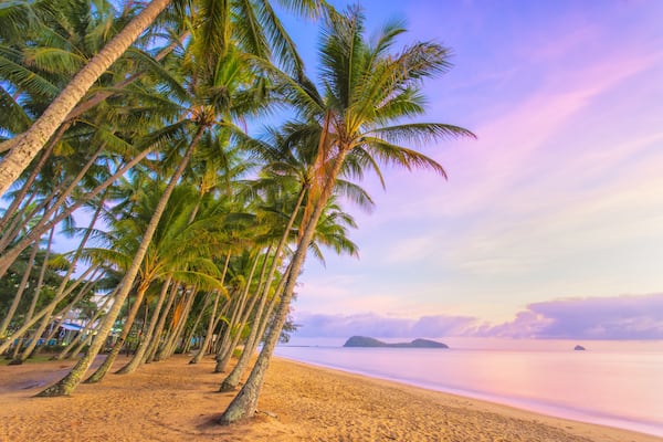 Une plage bordée de palmiers et une mer calme.