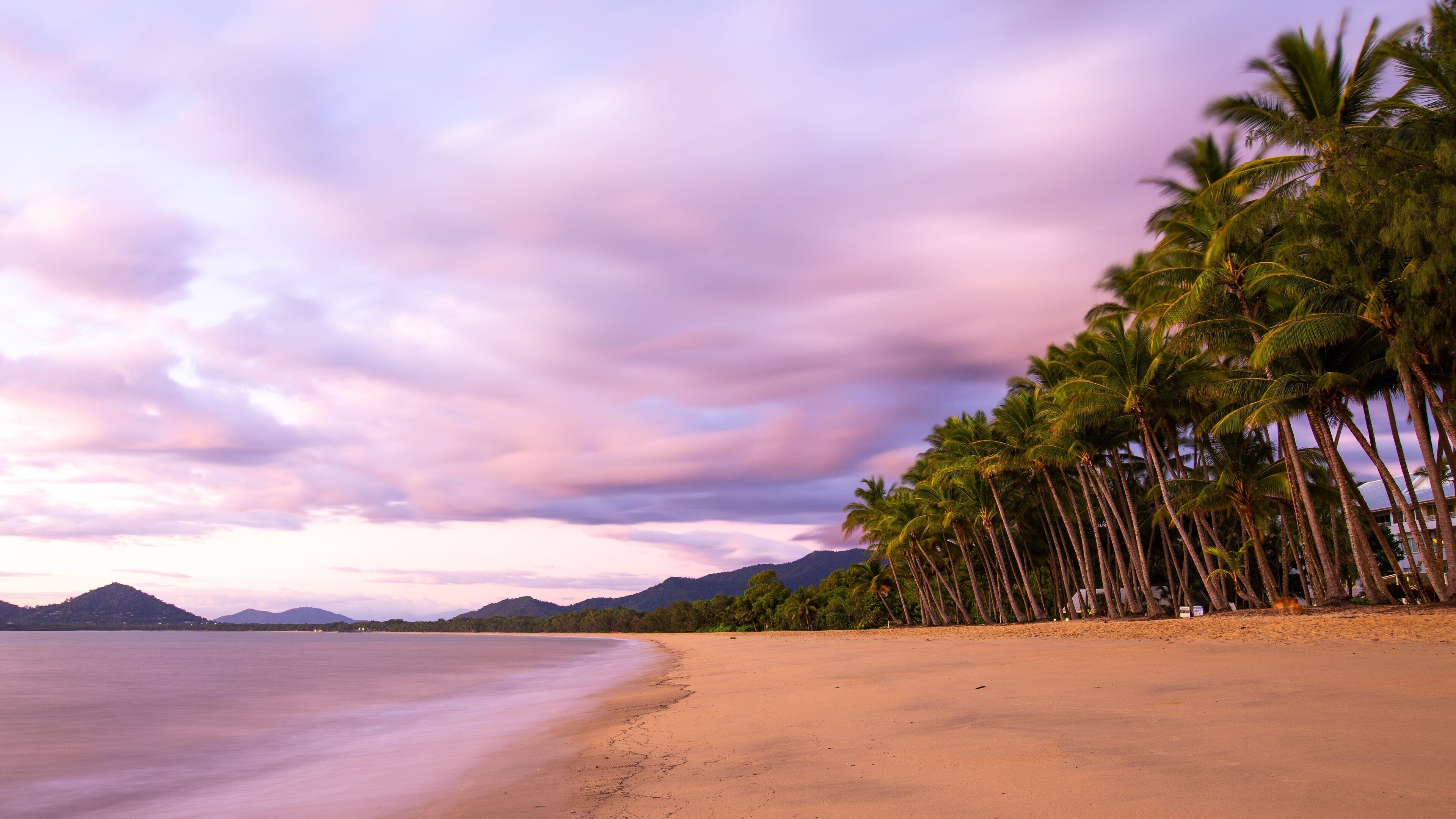 A beach with palm trees and mountains in the background.