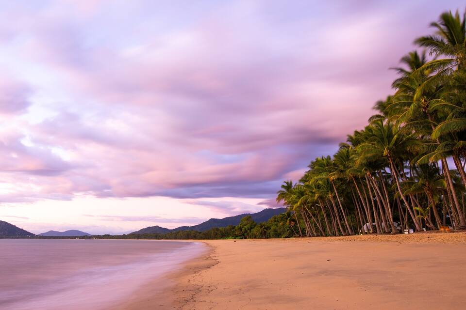 A beach with palm trees and mountains in the background.